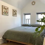 Le St-laurent - Magnifique Triplex - Calme
